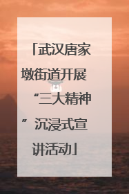 武汉唐家墩街道开展“三大精神”沉浸式宣讲活动