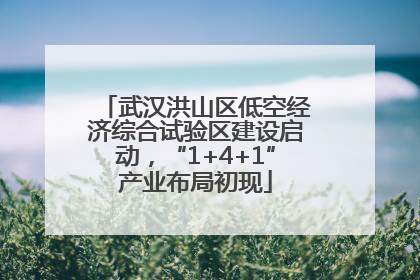 武汉洪山区低空经济综合试验区建设启动，“1+4+1”产业布局初现