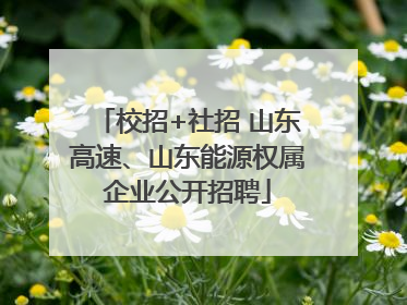 校招+社招 山东高速、山东能源权属企业公开招聘