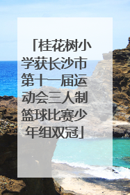 桂花树小学获长沙市第十一届运动会三人制篮球比赛少年组双冠