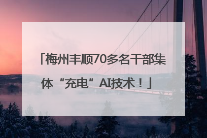 梅州丰顺70多名干部集体“充电”AI技术！