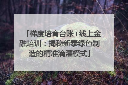 梯度培育台账+线上金融培训：揭秘新泰绿色制造的精准滴灌模式