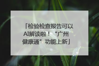 检验检查报告可以AI解读啦！“广州健康通”功能上新