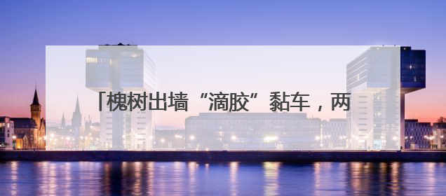 槐树出墙“滴胶”黏车，两社区合力消除车主头顶隐患
