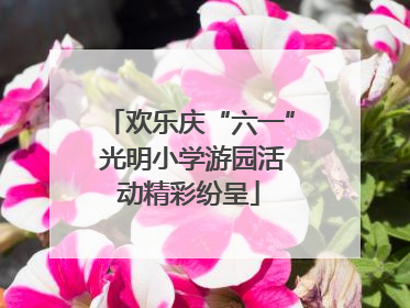 欢乐庆“六一” 光明小学游园活动精彩纷呈