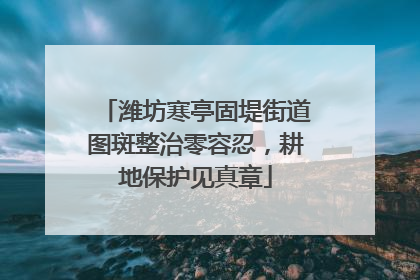潍坊寒亭固堤街道图斑整治零容忍，耕地保护见真章