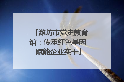 潍坊市党史教育馆：传承红色基因 赋能企业实干