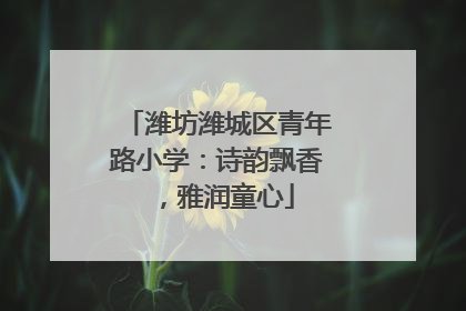 潍坊潍城区青年路小学：诗韵飘香，雅润童心
