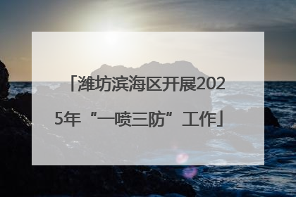 潍坊滨海区开展2025年“一喷三防”工作