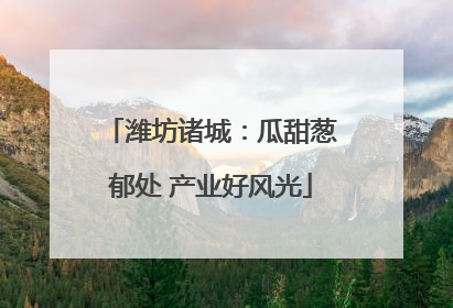 潍坊诸城：瓜甜葱郁处 产业好风光