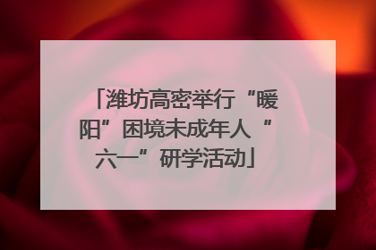潍坊高密举行“暖阳”困境未成年人“六一”研学活动