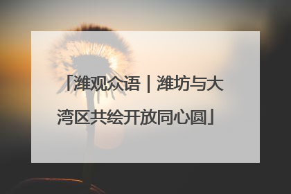 潍观众语｜潍坊与大湾区共绘开放同心圆