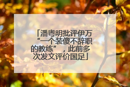 潘粤明批评伊万“一个装傻不辞职的教练”，此前多次发文评价国足