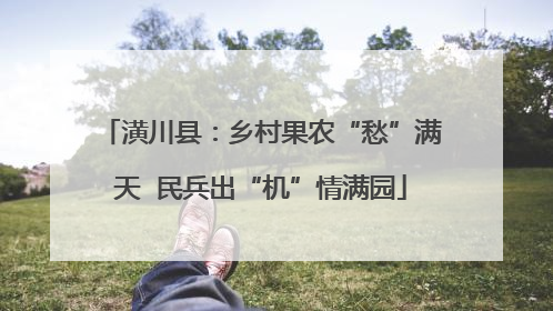 潢川县：乡村果农“愁”满天  民兵出“机”情满园