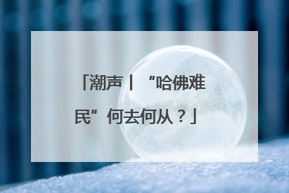 潮声丨“哈佛难民”何去何从？