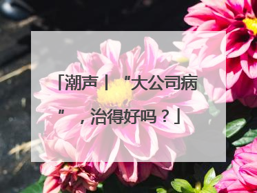 潮声丨“大公司病”，治得好吗？