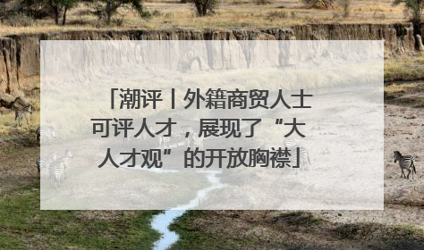 潮评丨外籍商贸人士可评人才，展现了“大人才观”的开放胸襟
