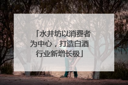 水井坊以消费者为中心，打造白酒行业新增长极