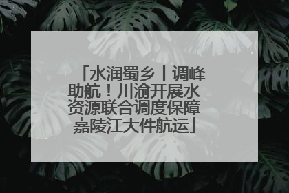 水润蜀乡丨调峰助航！川渝开展水资源联合调度保障嘉陵江大件航运