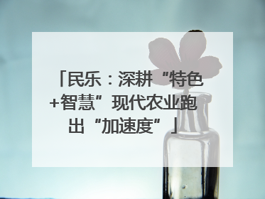 民乐：深耕“特色+智慧”现代农业跑出“加速度”