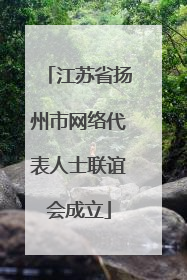 江苏省扬州市网络代表人士联谊会成立