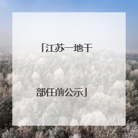 江苏一地干部任前公示