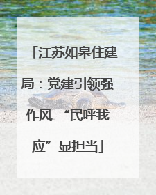 江苏如皋住建局：党建引领强作风 “民呼我应”显担当