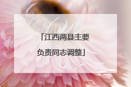 江西两县主要负责同志调整