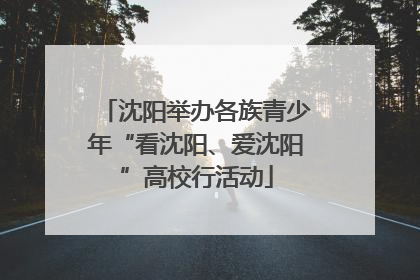 沈阳举办各族青少年“看沈阳、爱沈阳”高校行活动
