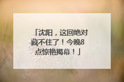 沈阳，这回绝对藏不住了！今晚8点惊艳揭幕！