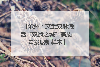 沧州：文武双脉激活“双遗之城”高质量发展新样本