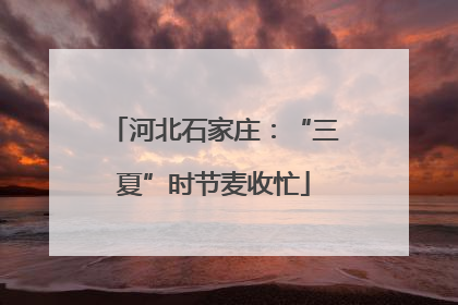 河北石家庄：“三夏”时节麦收忙