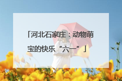 河北石家庄：动物萌宝的快乐“六一”