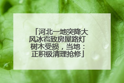 河北一地突降大风冰雹致房屋路灯树木受损，当地：正积极清理抢修