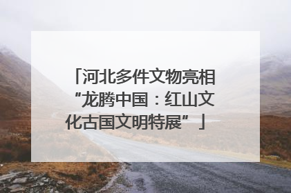 河北多件文物亮相“龙腾中国：红山文化古国文明特展”
