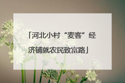 河北小村“麦客”经济铺就农民致富路