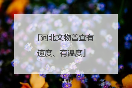 河北文物普查有速度、有温度