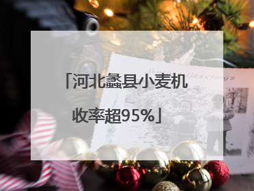 河北蠡县小麦机收率超95%