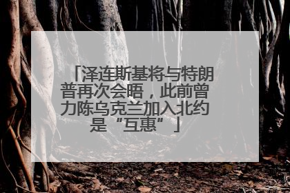 泽连斯基将与特朗普再次会晤，此前曾力陈乌克兰加入北约是“互惠”