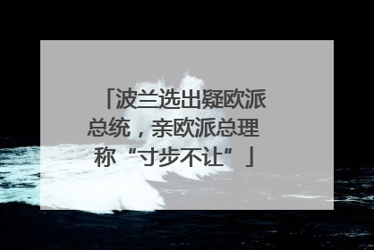 波兰选出疑欧派总统，亲欧派总理称“寸步不让”