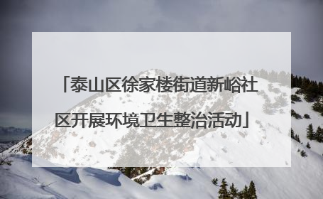 泰山区徐家楼街道新峪社区开展环境卫生整治活动