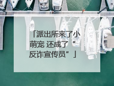 派出所来了小萌宠 还成了“反诈宣传员”