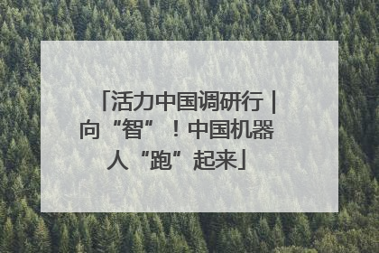 活力中国调研行｜向“智”！中国机器人“跑”起来