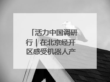 活力中国调研行｜在北京经开区感受机器人产业创新发展