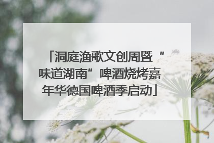 洞庭渔歌文创周暨“味道湖南”啤酒烧烤嘉年华德国啤酒季启动