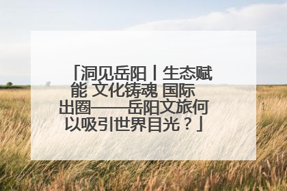 洞见岳阳丨生态赋能 文化铸魂 国际出圈——岳阳文旅何以吸引世界目光？
