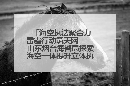 海空执法聚合力 雷霆行动筑天网——山东烟台海警局探索海空一体提升立体执法效能纪实
