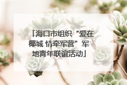 海口市组织“爱在椰城 情牵军营”军地青年联谊活动