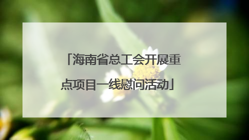 海南省总工会开展重点项目一线慰问活动