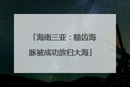 海南三亚：糙齿海豚被成功放归大海